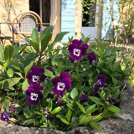 De Julie Le Jardin