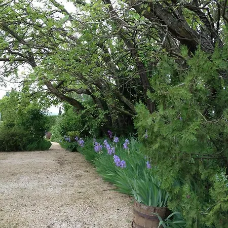 De Julie Le Jardin * Vaison-la-Romaine